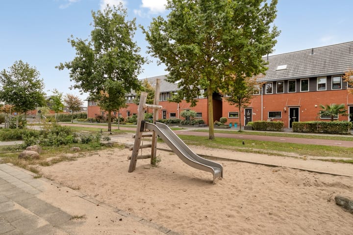 Photo 39 of Gele Rijderspad 50