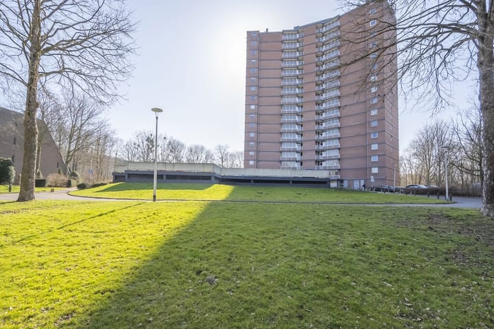 Foto 2 van Drieoortsput 65