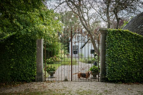 Bandijk 15 tertiary image