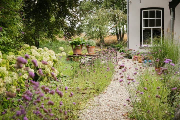 Foto 5 van Bandijk 15