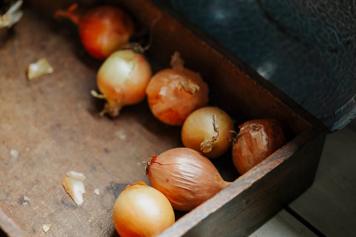 Foto 11 van Bandijk 15