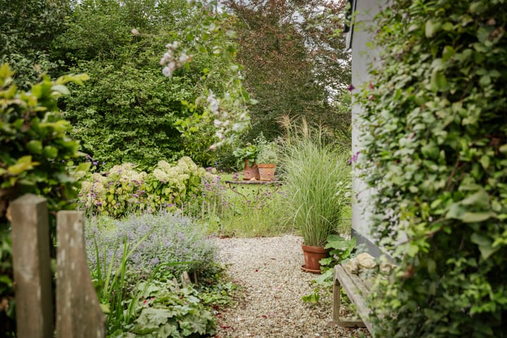 Foto 66 van Bandijk 15