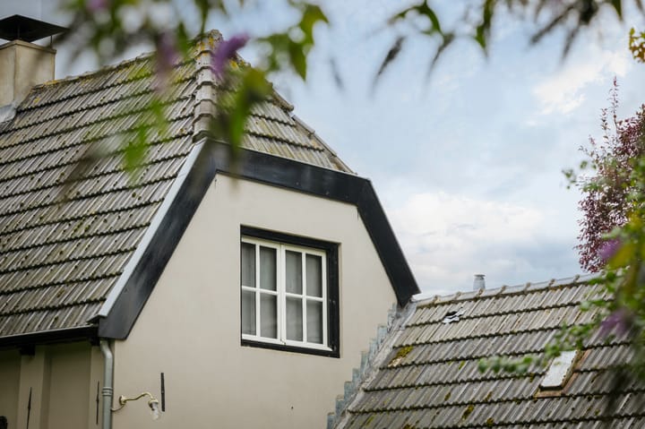 Foto 70 van Bandijk 15