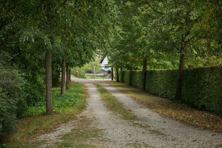 Foto 71 van Bandijk 15