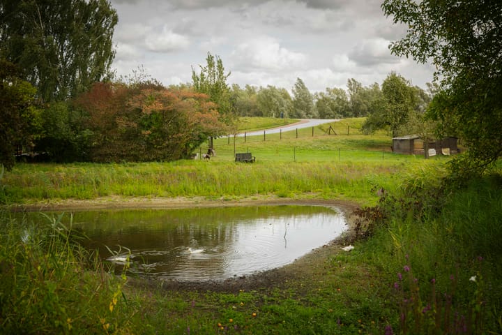 Foto 73 van Bandijk 15