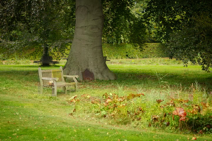 Foto 74 van Bandijk 15