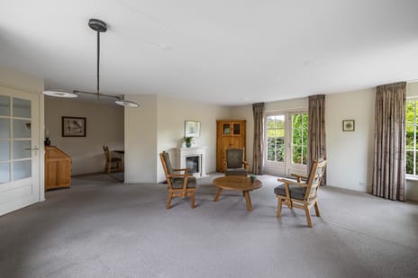 Wespendief 4 tertiary image