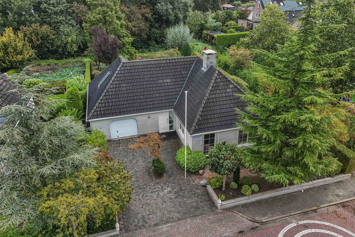 Foto 4 van Wespendief 4