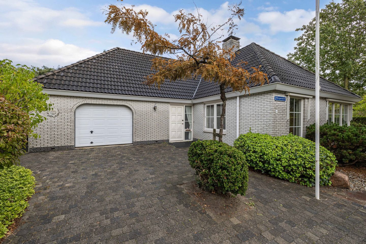 Foto 5 van Wespendief 4