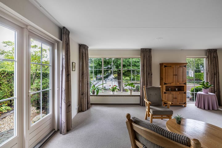 Foto 9 van Wespendief 4