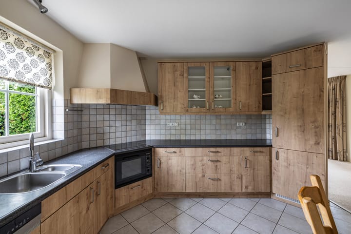 Foto 13 van Wespendief 4