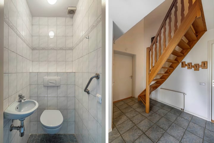 Foto 7 van Wespendief 4