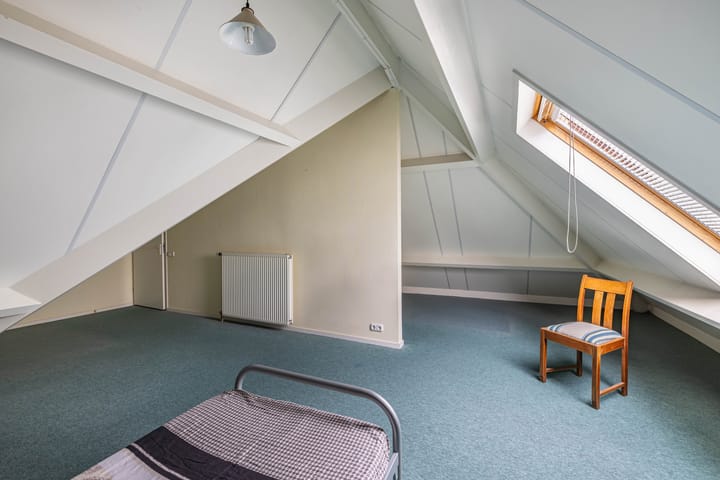 Foto 24 van Wespendief 4