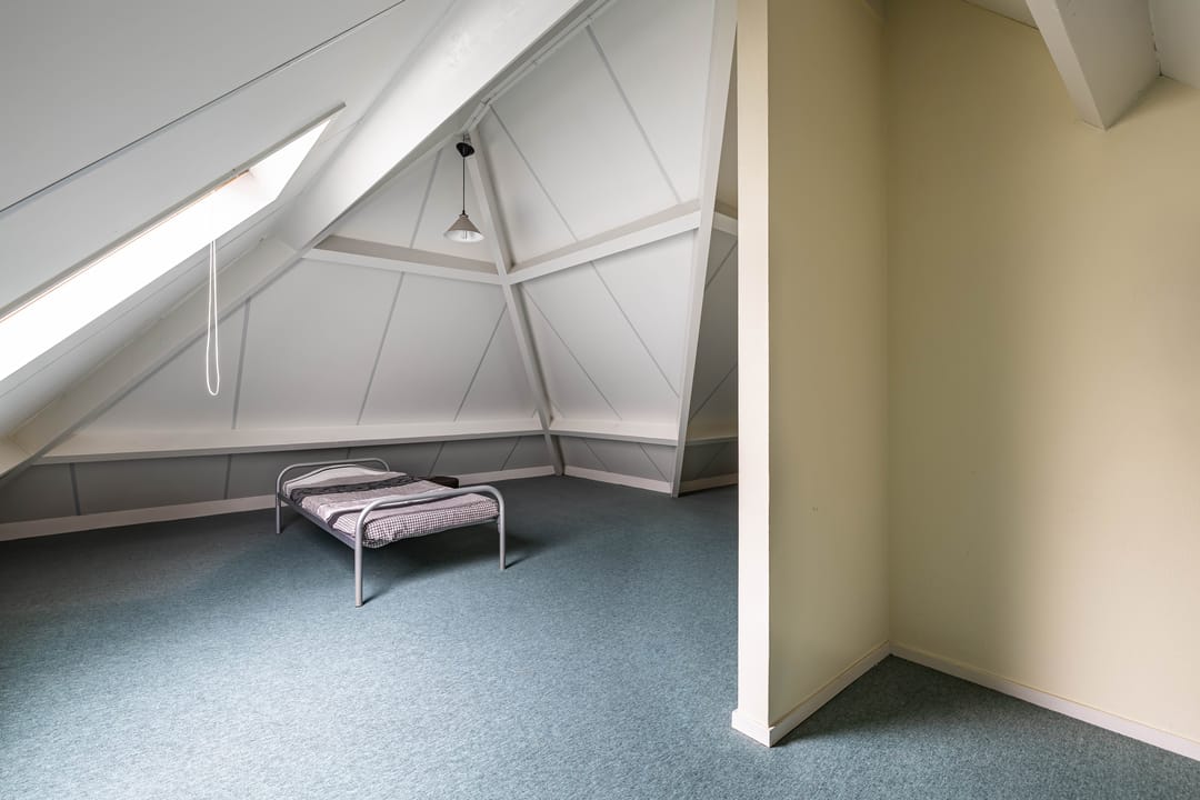 Foto 26 van Wespendief 4