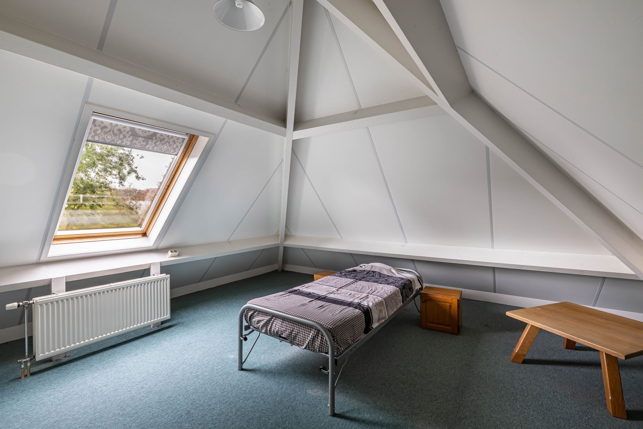 Foto 27 van Wespendief 4