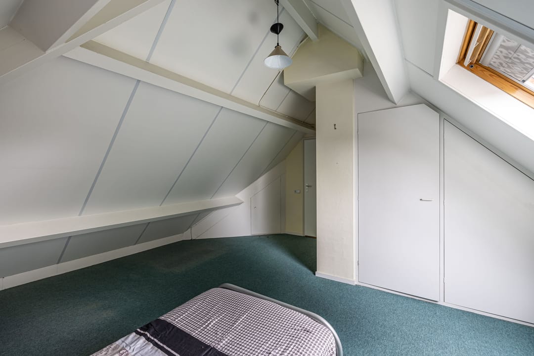 Foto 28 van Wespendief 4