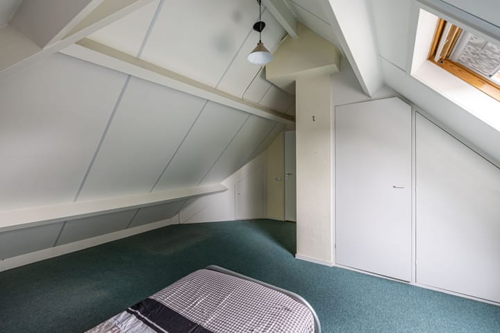 Foto 28 van Wespendief 4