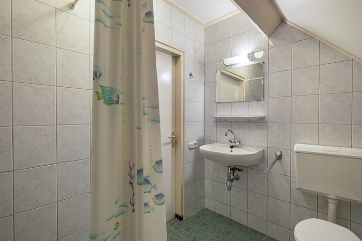 Foto 30 van Wespendief 4