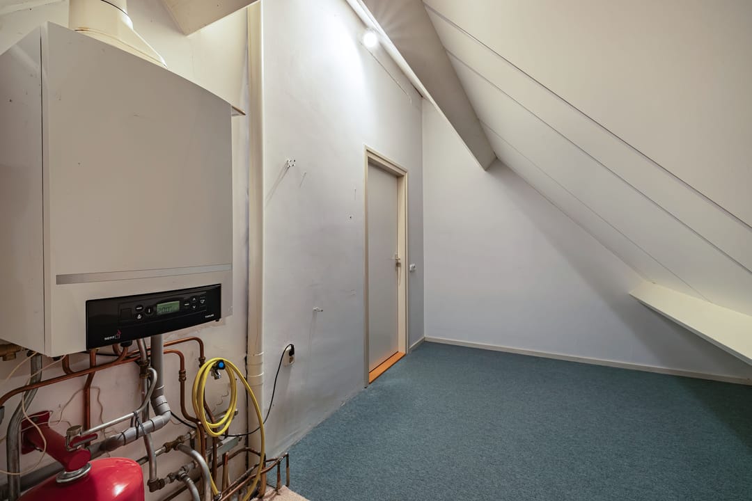 Foto 32 van Wespendief 4