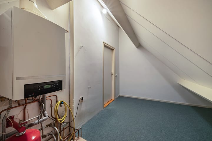 Foto 32 van Wespendief 4