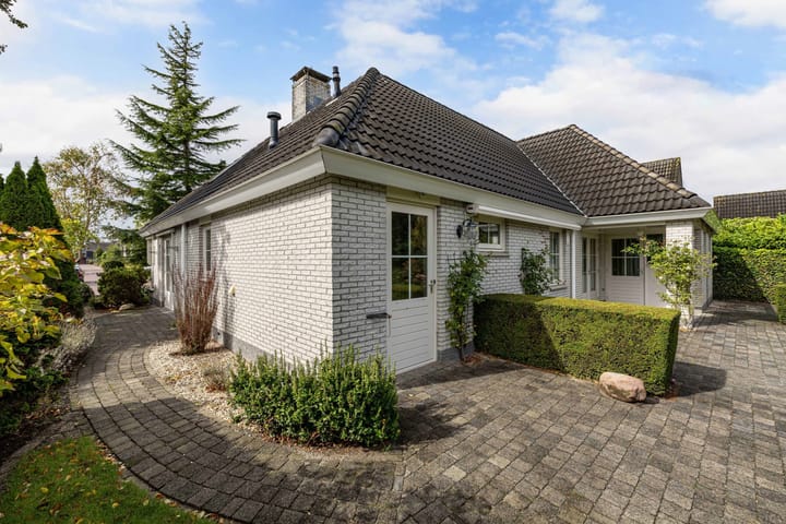 Foto 33 van Wespendief 4