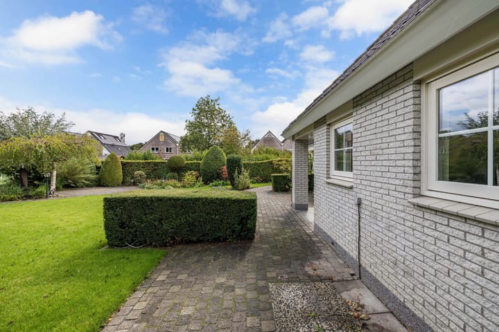 Foto 34 van Wespendief 4