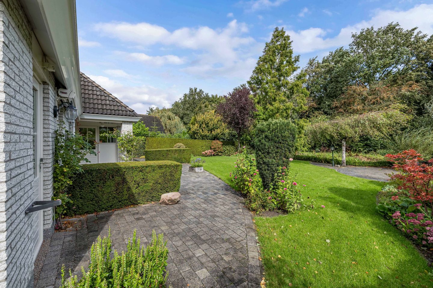 Foto 35 van Wespendief 4