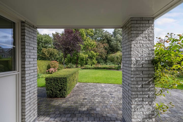 Foto 37 van Wespendief 4