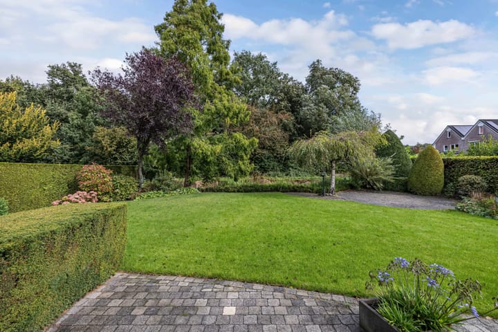 Foto 38 van Wespendief 4