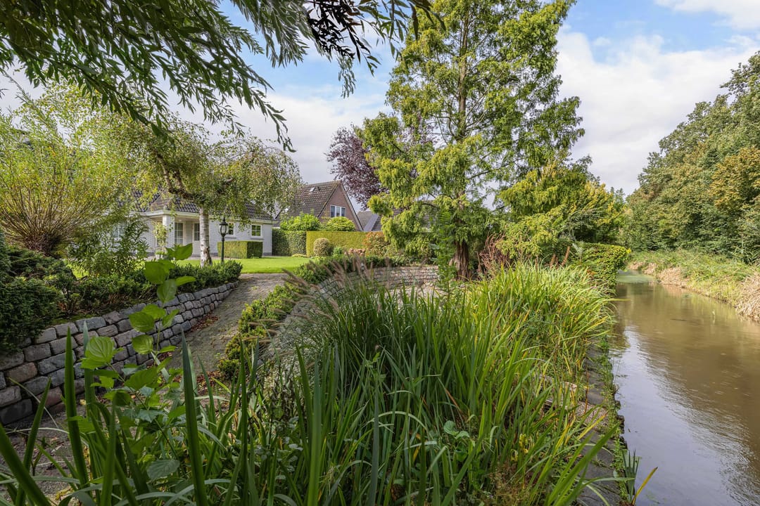 Foto 43 van Wespendief 4