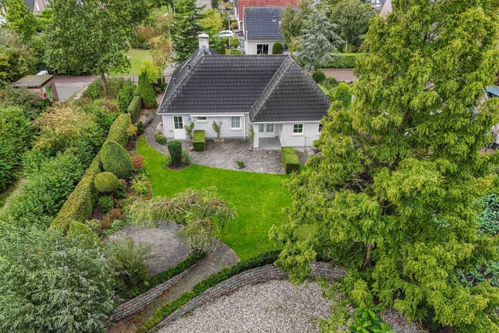 Foto 44 van Wespendief 4