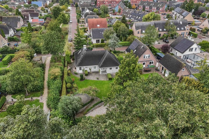 Foto 46 van Wespendief 4