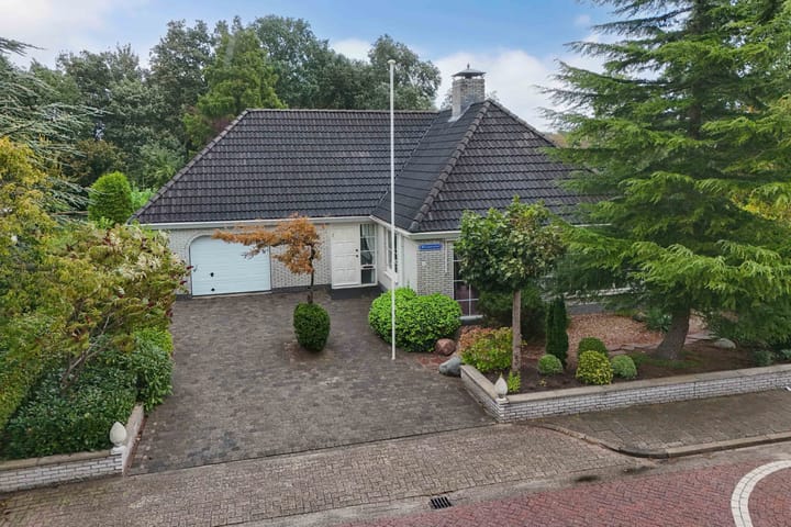 Foto 47 van Wespendief 4