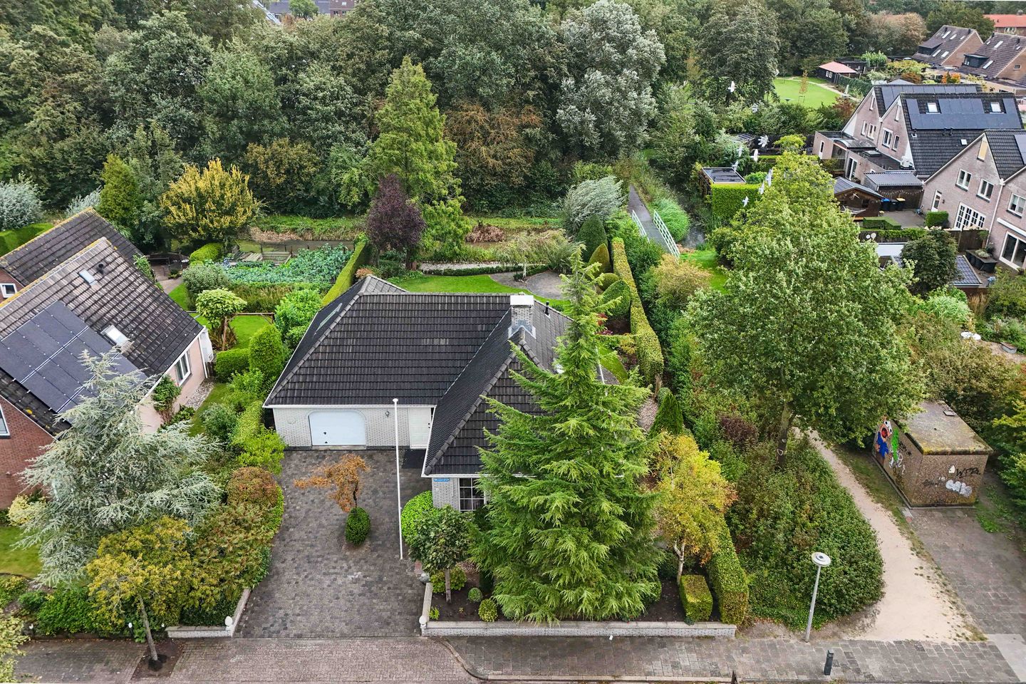 Foto 49 van Wespendief 4