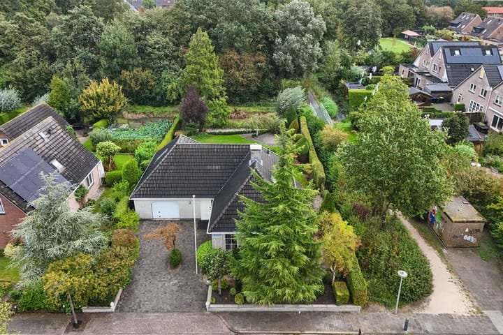 Foto 49 van Wespendief 4