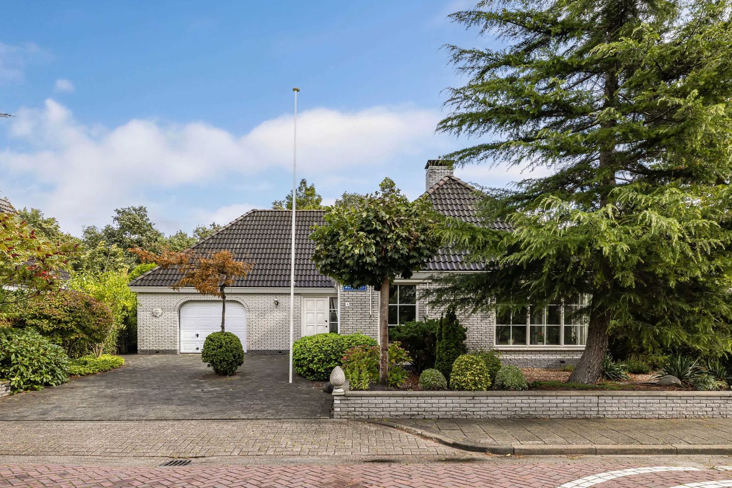 Foto 50 van Wespendief 4