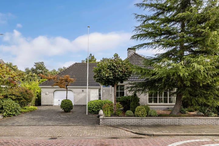 Foto 50 van Wespendief 4