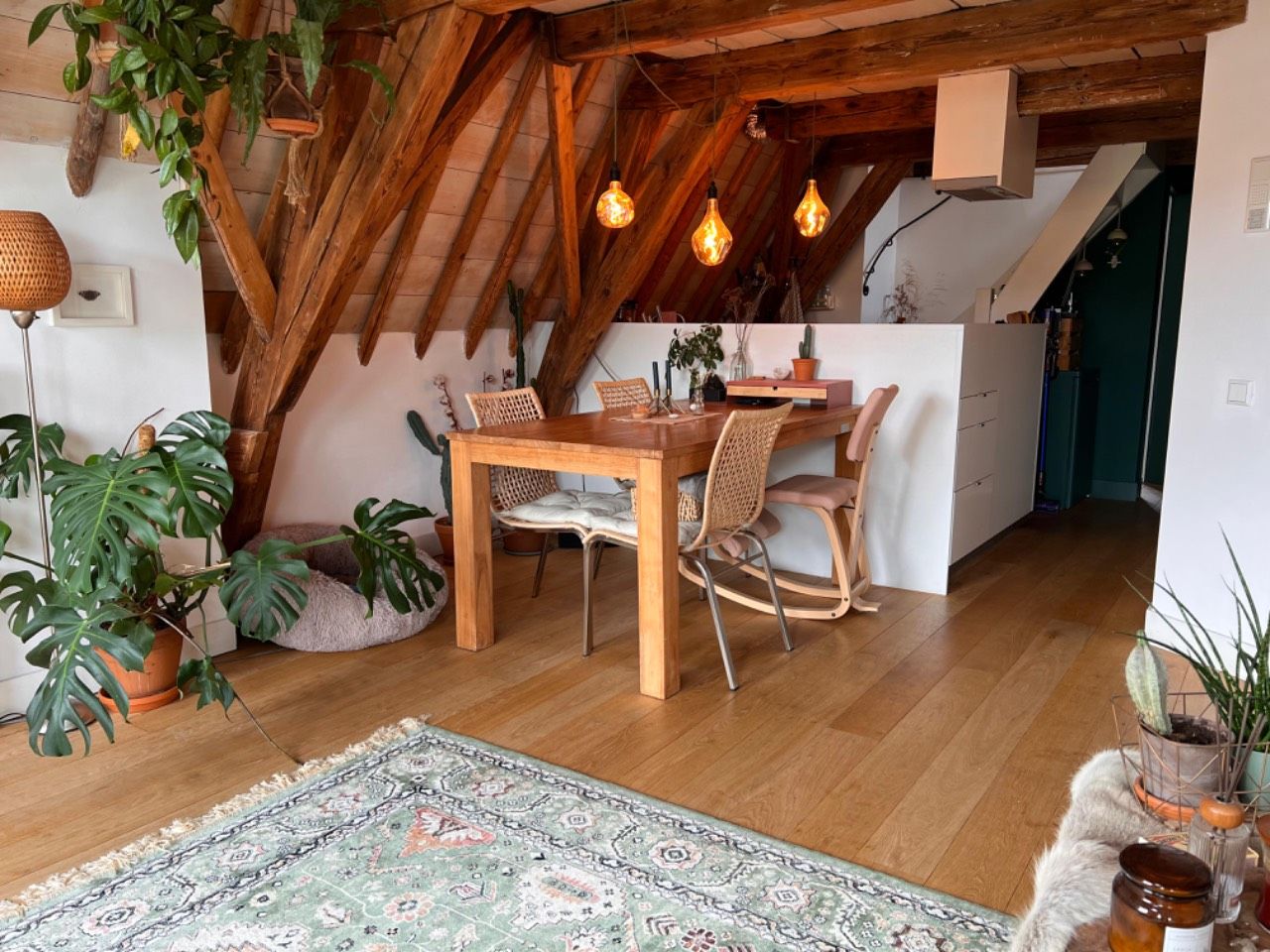 Apartment in Leiden - View 4