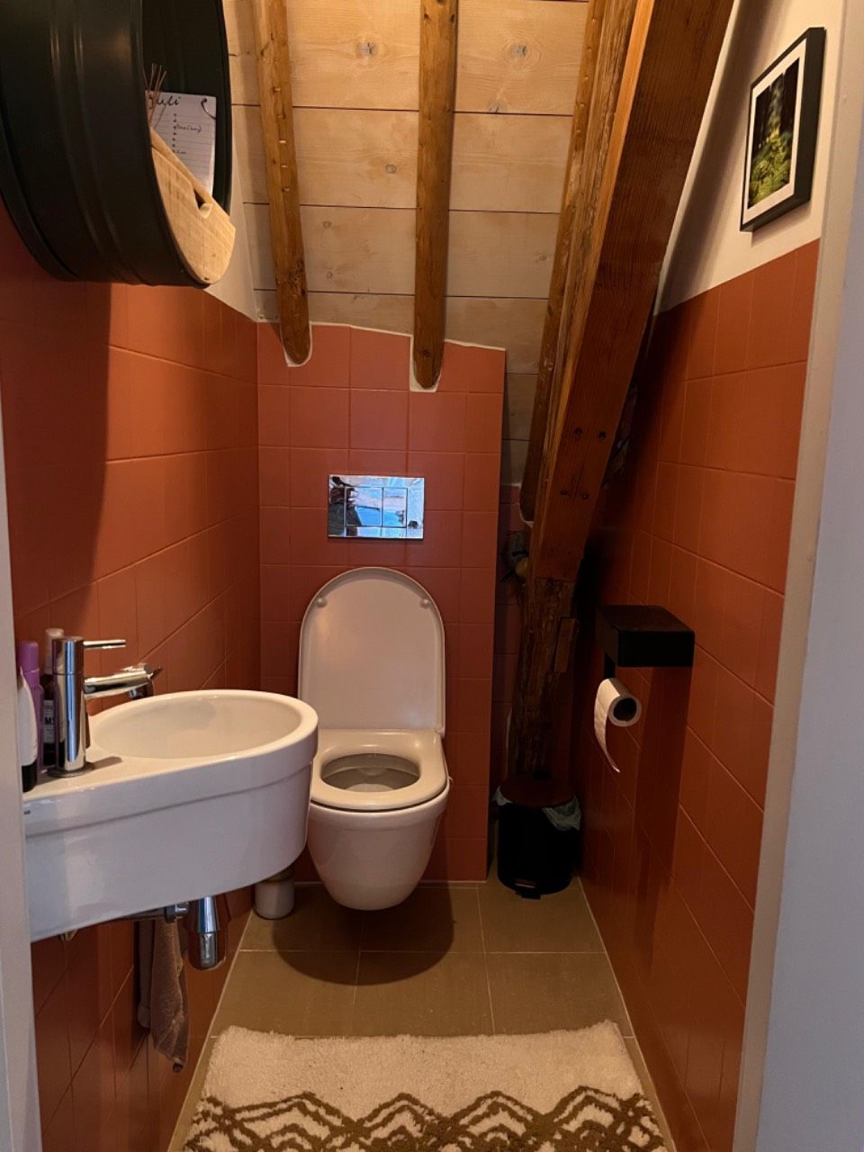 Foto 7 van Nieuwe Rijn 105-B