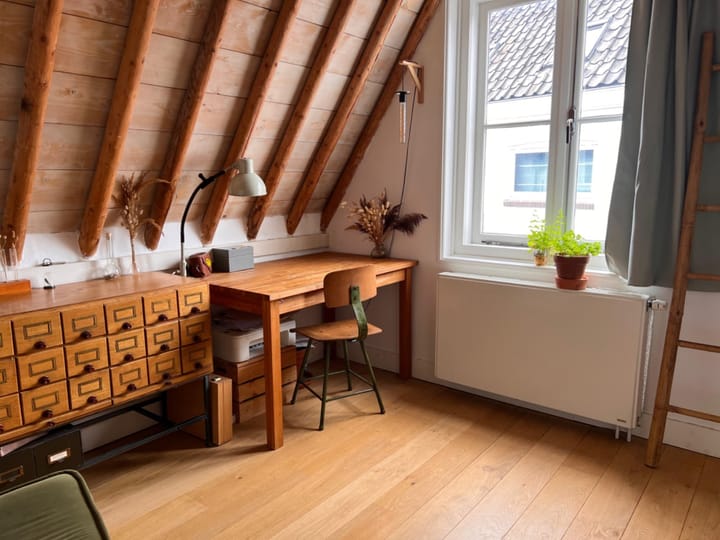 Foto 8 van Nieuwe Rijn 105-B