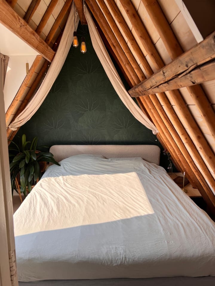 Foto 12 van Nieuwe Rijn 105-B