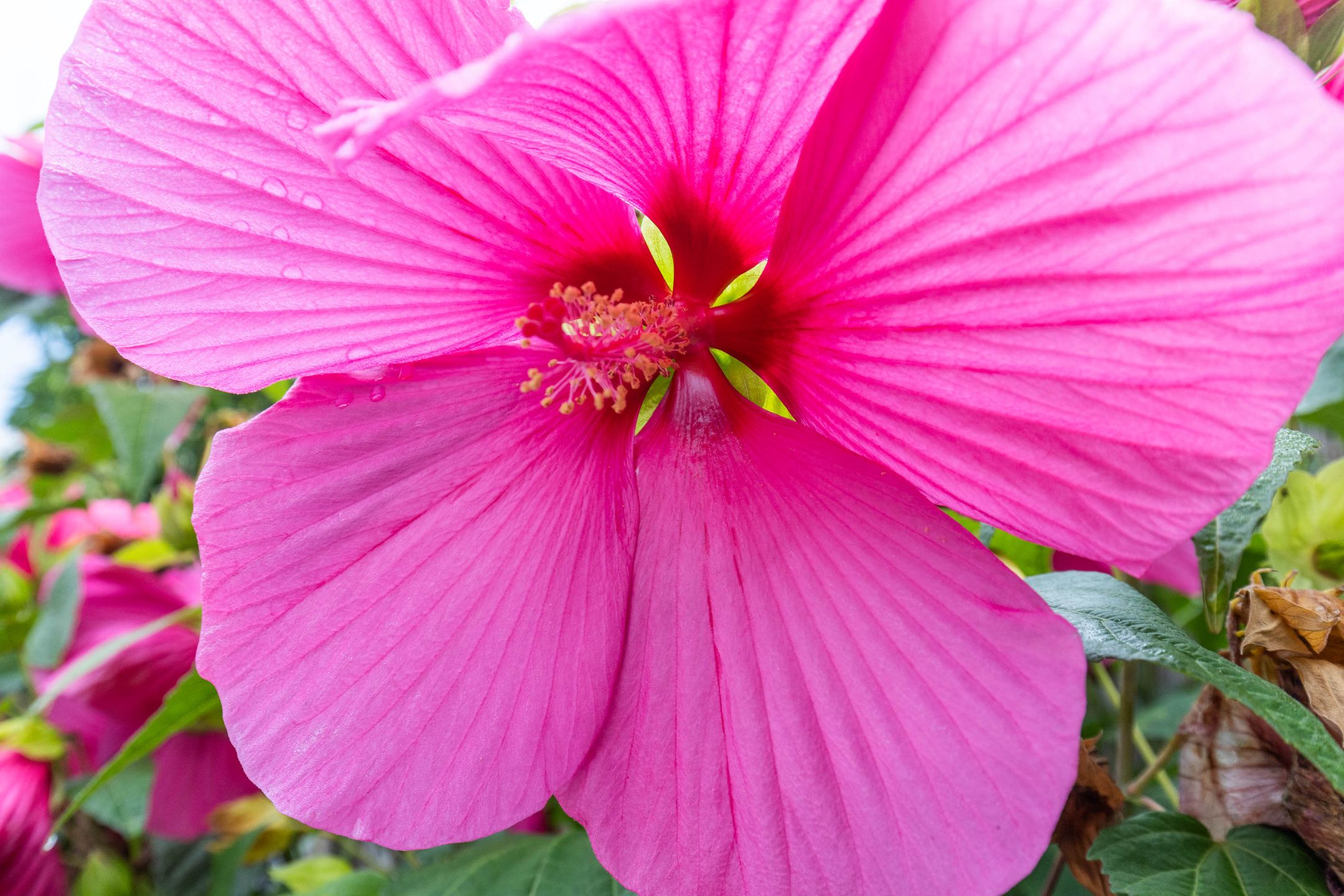 Foto 36 van Joost van den Vondelstraat 27