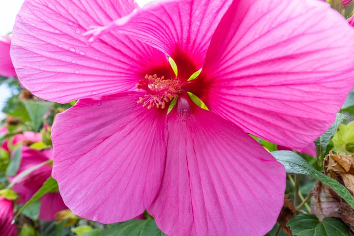 Foto 36 van Joost van den Vondelstraat 27