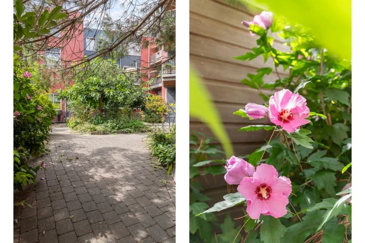 Foto 24 van Tolhuisstraat 6-B