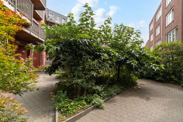 Foto 25 van Tolhuisstraat 6-B