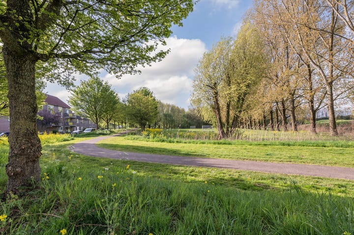 Foto 26 van Seychellen 66