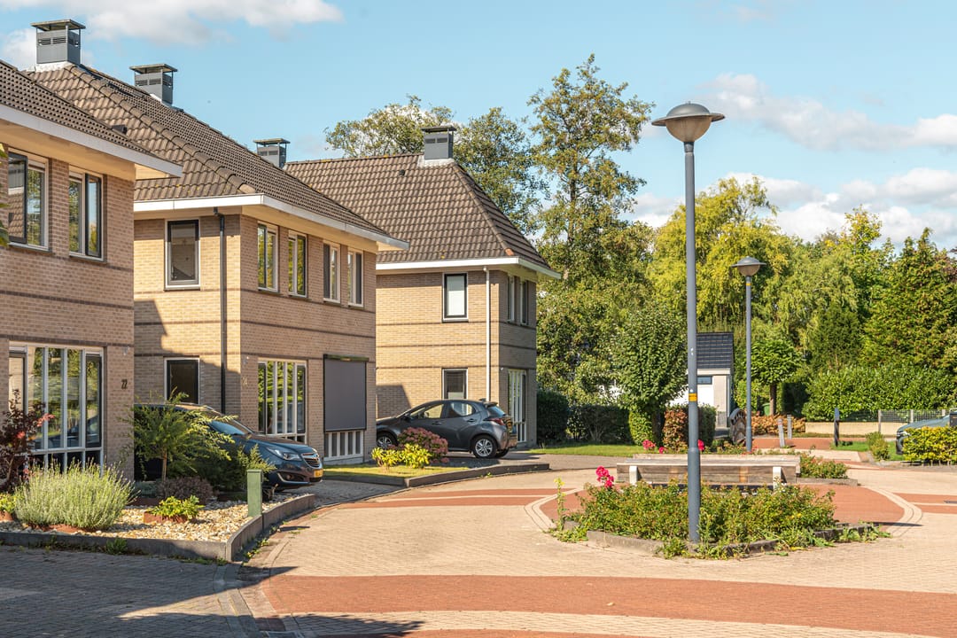 Foto 7 van Kalmoes 24