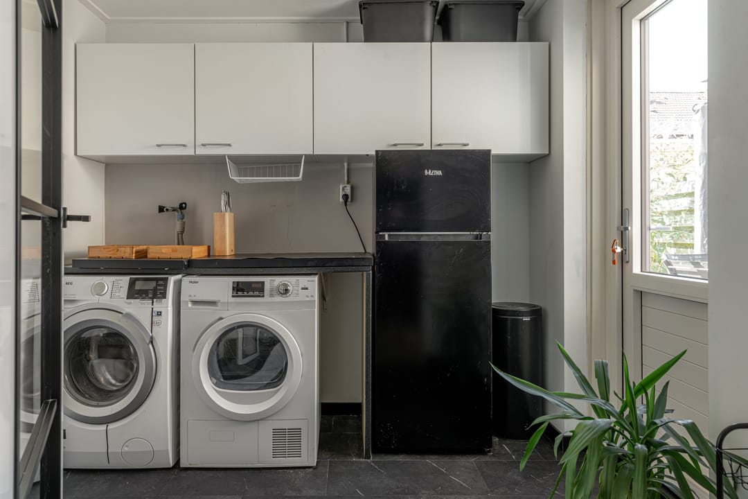 Foto 26 van Kalmoes 24