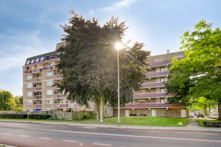 Foto 15 van Tolhuis 1225