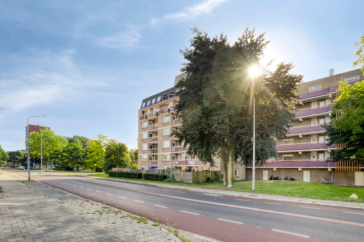 Foto 16 van Tolhuis 1225